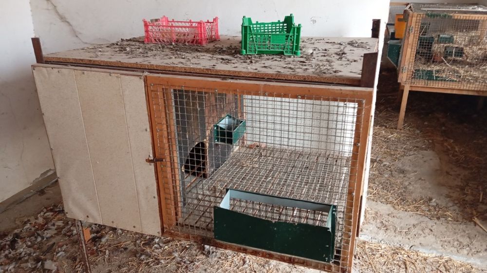 Вольер сотилади куен ва товук учун