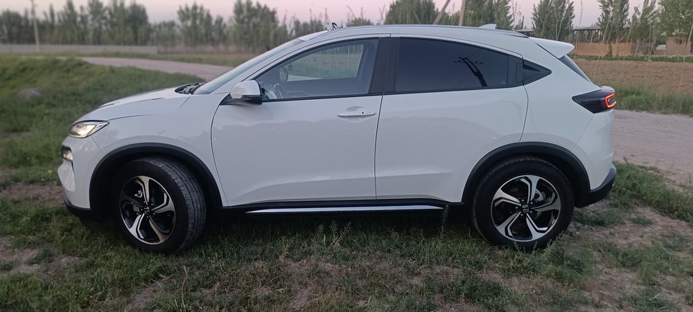 Honda M-NV 100%Elektir