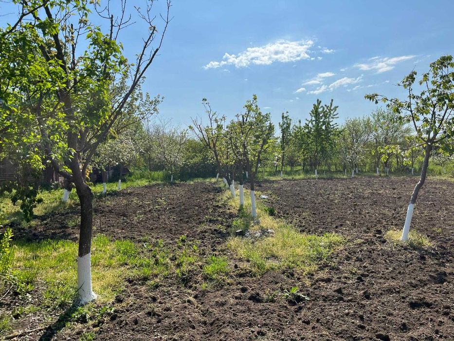 Casa + teren intravilan Sat Infratirea, Com Dor Marunt, Jud Calarasi