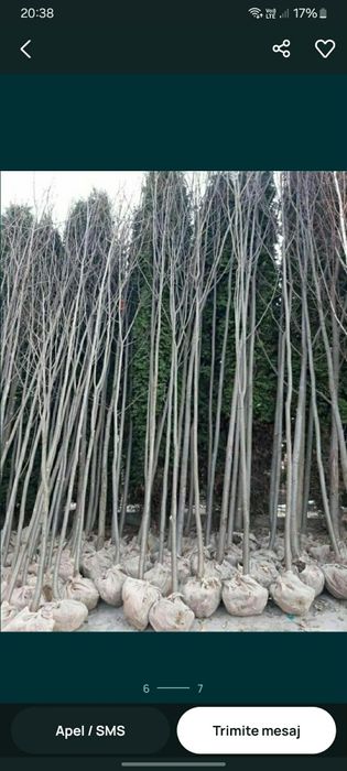 Piatra naturala de munte de Grecia 100%.  Lucrez în toată Țara
