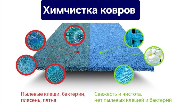 Стирка химчистка ковров