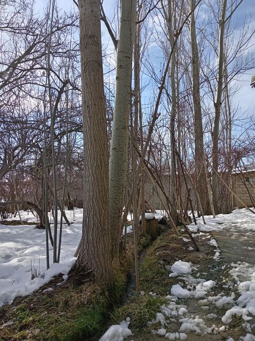 Bustonliq tumani sijjak qishlog'i yer sotiladi