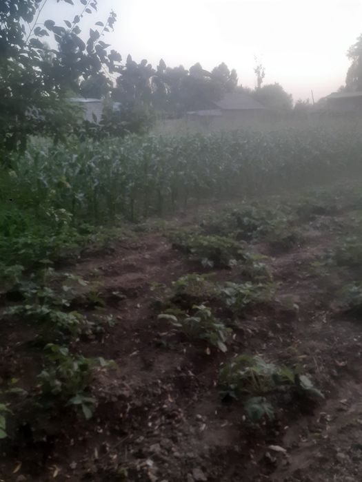 Ер сотилади 7 сотох Денов тумани (эски масква калхоз)