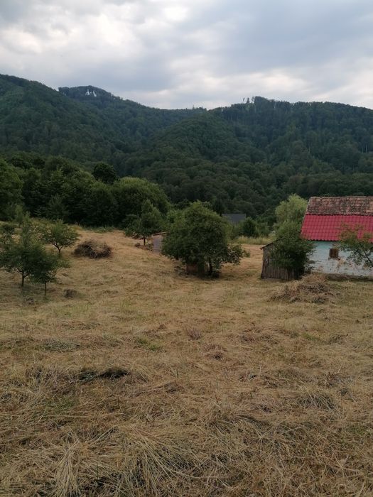 De vanzare teren intravilan 4500 mp,cu casa veche in Sovata