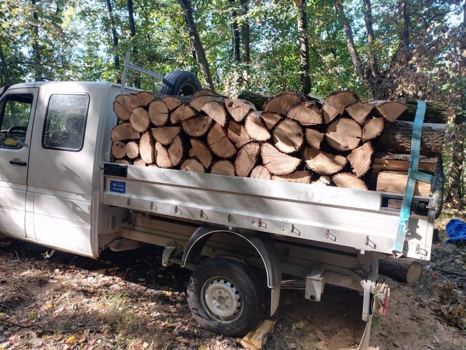 Lemne de foc fag carpăn frasan stejar