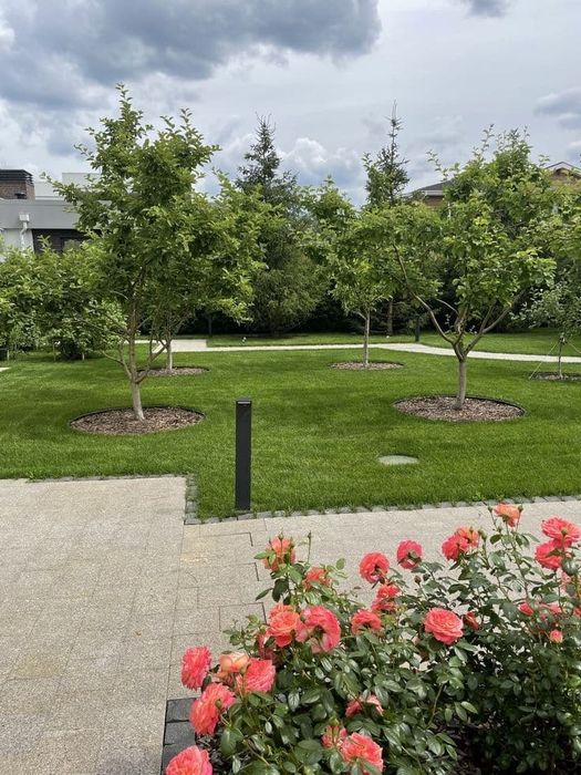 Посевной и рулонный газон!