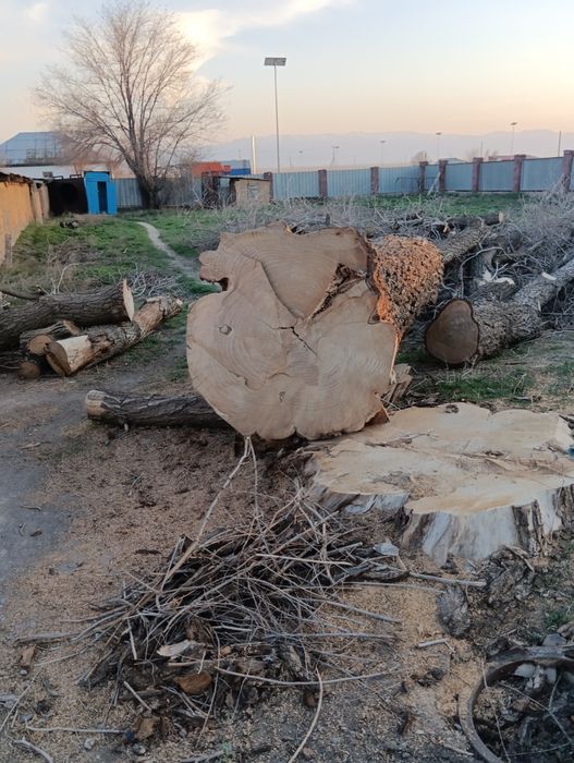 Дрова карагач самовывоз