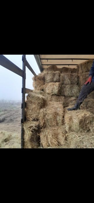 Baloti fan;Lucerna.la TIR.40.Rotunzi.500drept.Nuci.Visin.Prun.Alun>RO