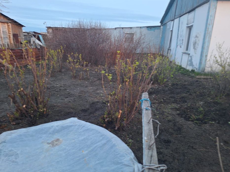 Продам дом и все остальное вместе  , есть торг