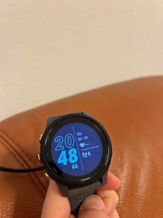 Garmin Forerunner 255