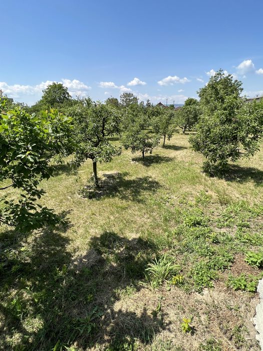 Teren Intravilan 2000 mp-Letea Veche-5 km de Bacau