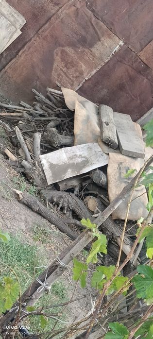 Дрова отдам даром