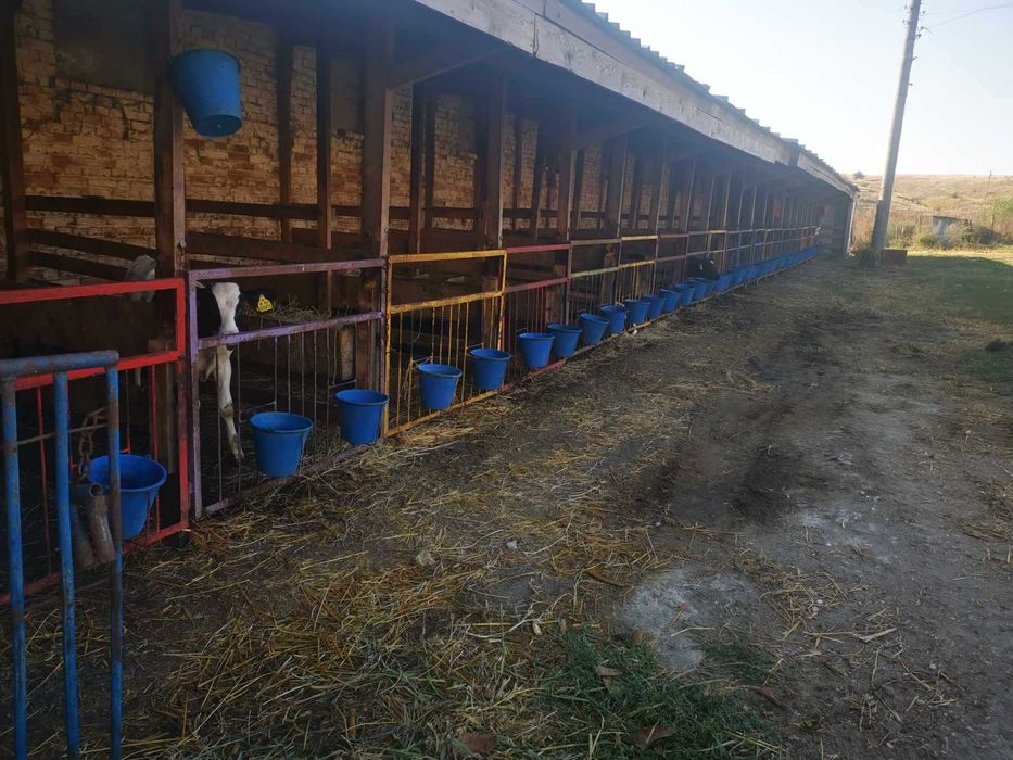 Продава се Промишлена сграда в Добрич, Дружба 3 - 1500 кв.м за 334 €/кв.м - Снимка #10