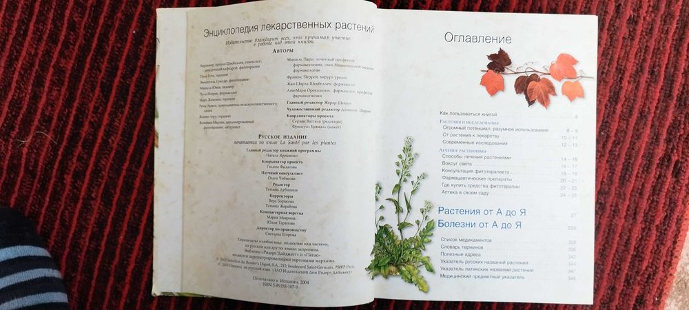 Энциклопедия лекарственных растений