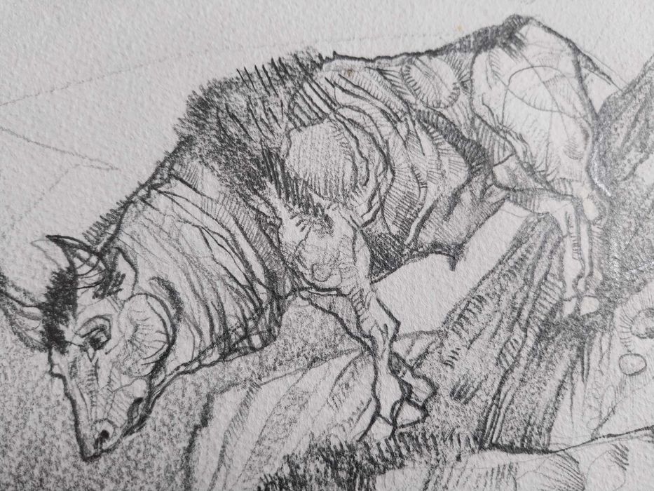 Прекрасна рисунка 38/55 см