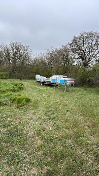 Platforma apicola pentru 40 de stupi