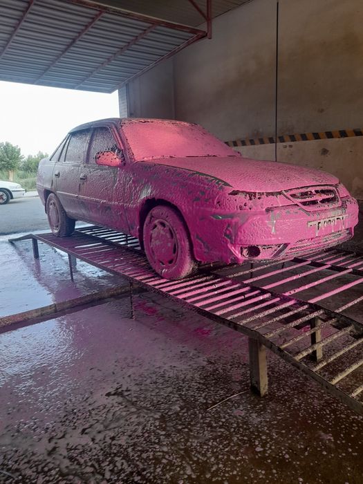 Нехиа донс год 2009 метанда отлични