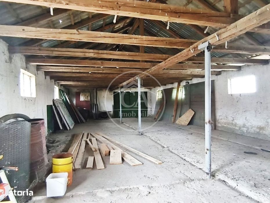 Hala de inchiriat in zona Tarian, Bihor - Vedere 4