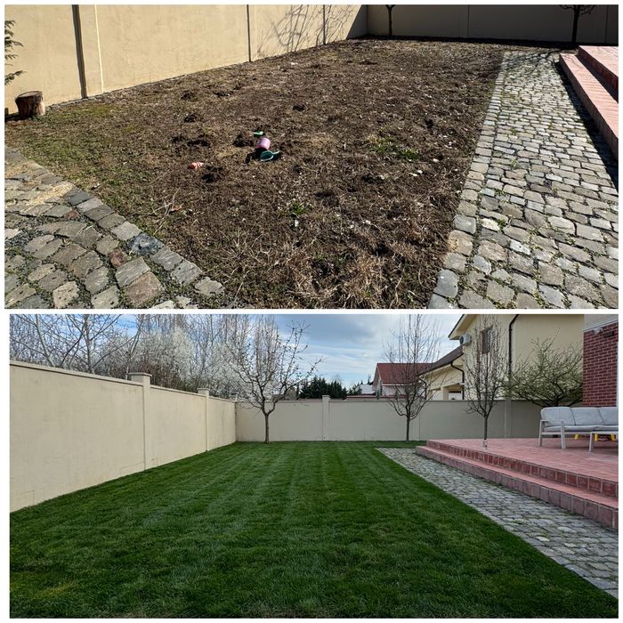 Amenjari Spatii Verzi Arad