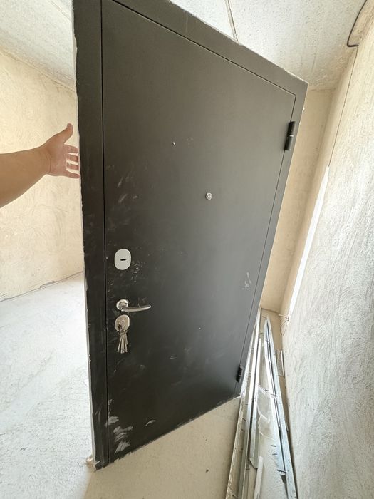 Дверь входной буу