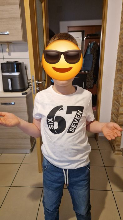 Tricou la comanda cu 67 steal a brainrot