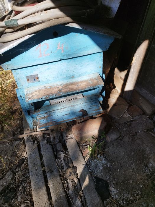 Кошери Даданблат 12 рамкови 4 броя