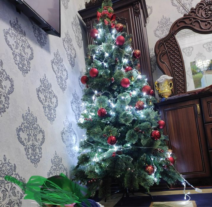 Archa елка елка