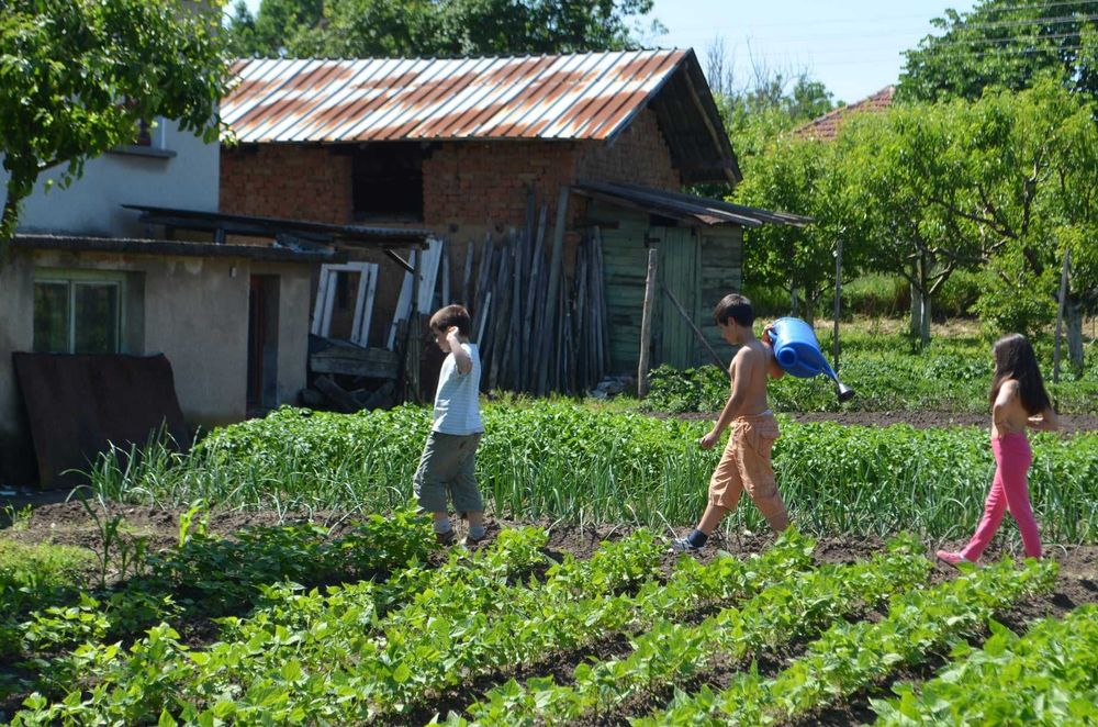 Продава се Къща в с. Ерден, Област Монтана - 75 кв.м за 762 €/кв.м - Снимка #1