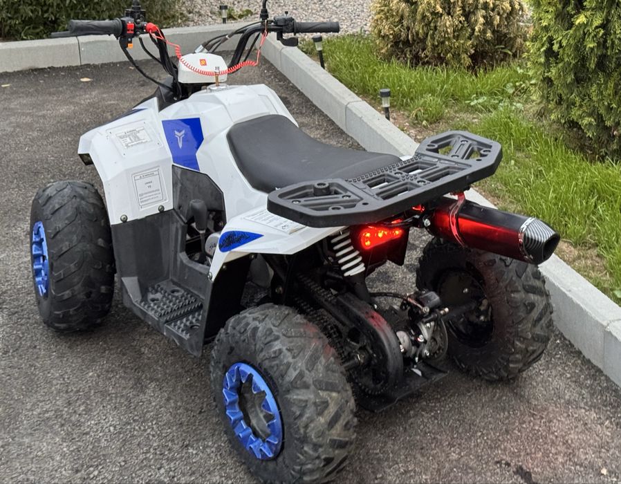 MUDHAWK 6 110сс