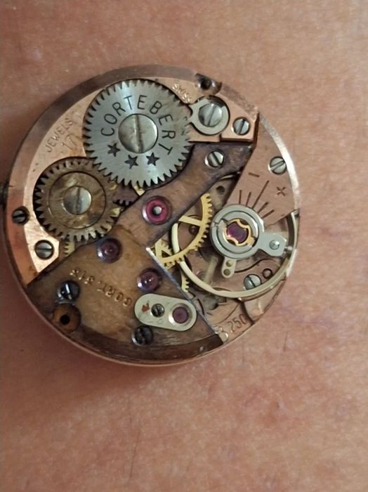 Woman watch Tellus cortebert 313