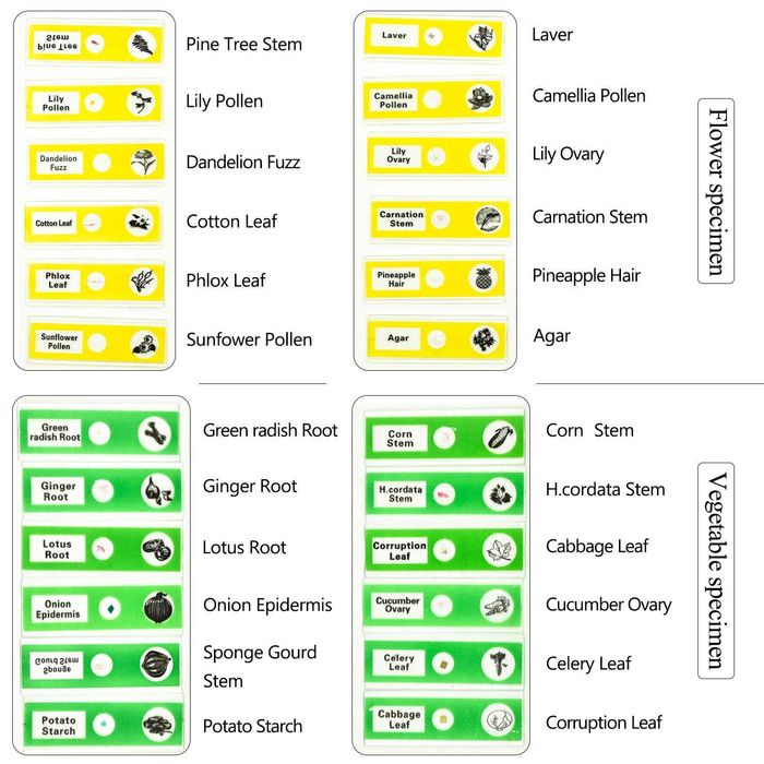 Lamele microscop cu insecte gata preparate. 12 buc mixte, Noi ambalate