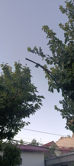 Микроклимот орнатиш