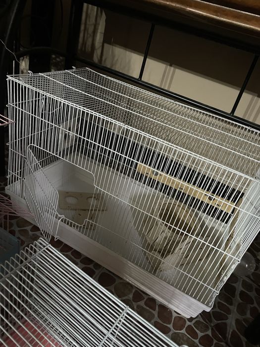 Клетки для грызунов