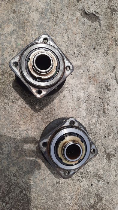 Butuci fata, spate dacia papuc