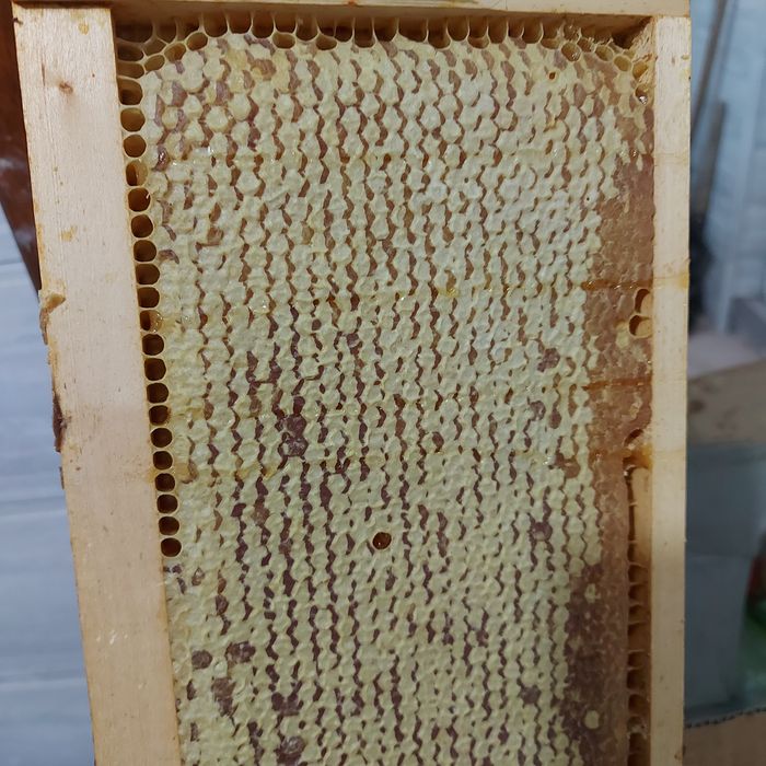 Пчелен Мед бодил Бял мед крем букет манов акация кестен