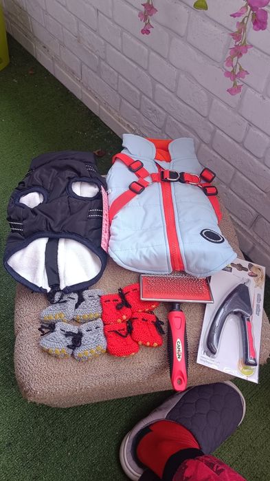 Кучешки дрешки и аксесоари