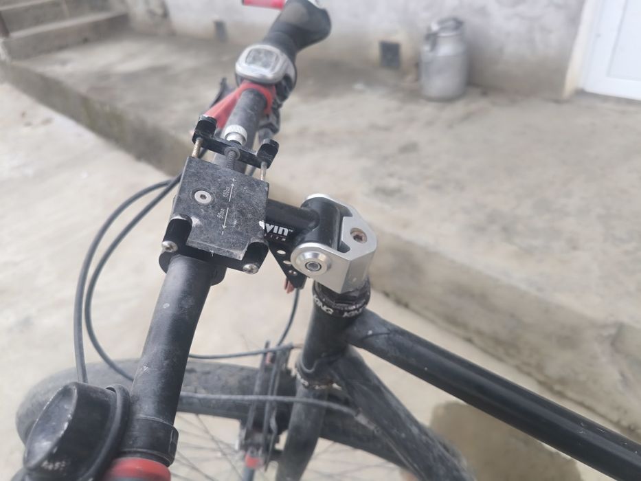 Velik bigbul amerikaniski