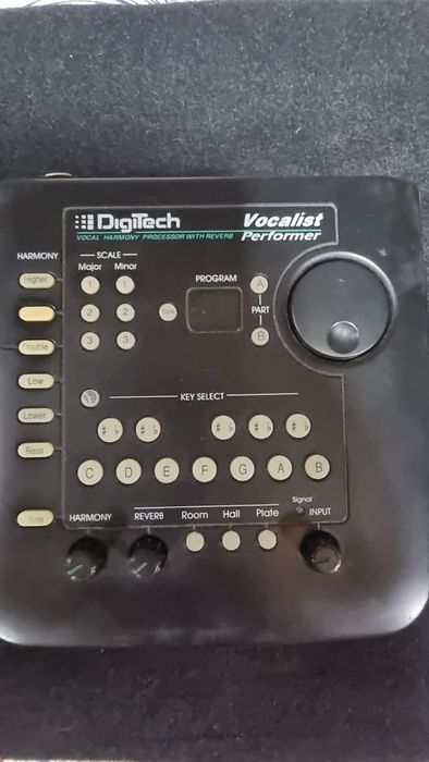 DigiTech vocalist