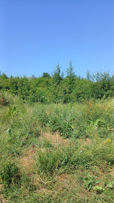 Teren intravilan 1400mp de vânzare str Alunului, Rm. Valcea.