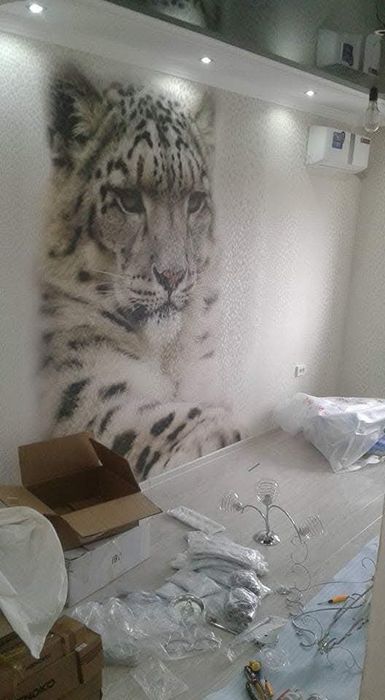 Мелкий и частичный ремонт квартир.  Маленькие объёмы