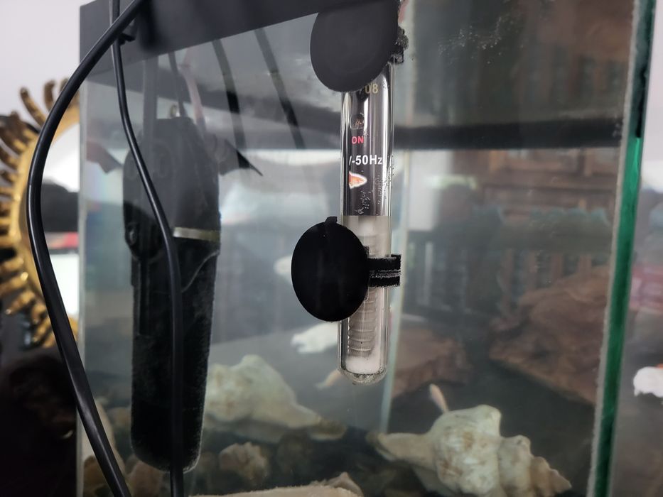 Аквариум с рыбками