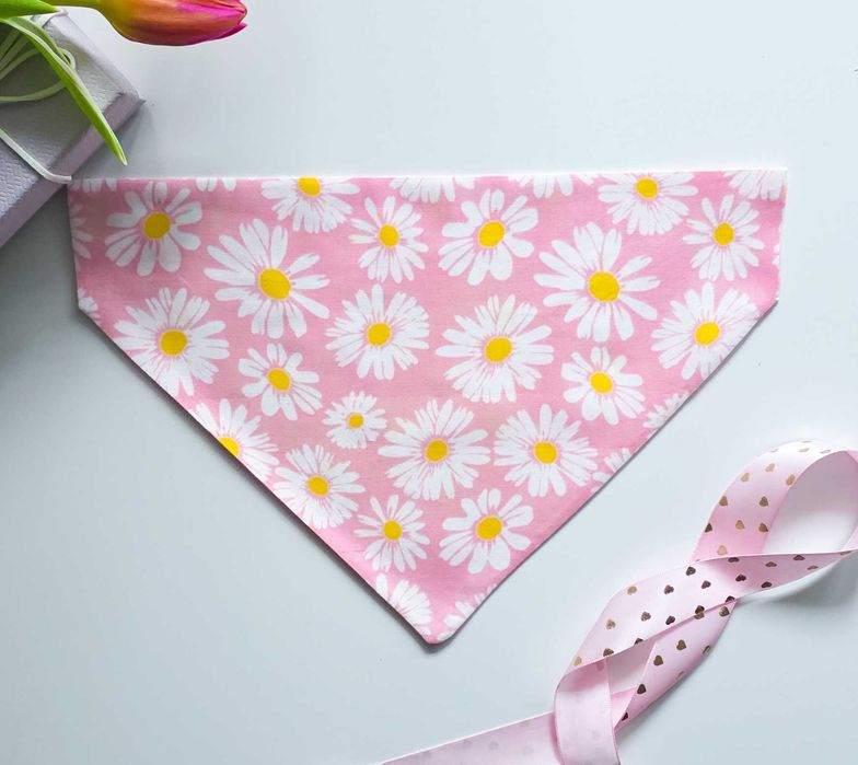 Bandane pentru caini