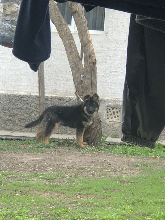 ватцап пишите ном