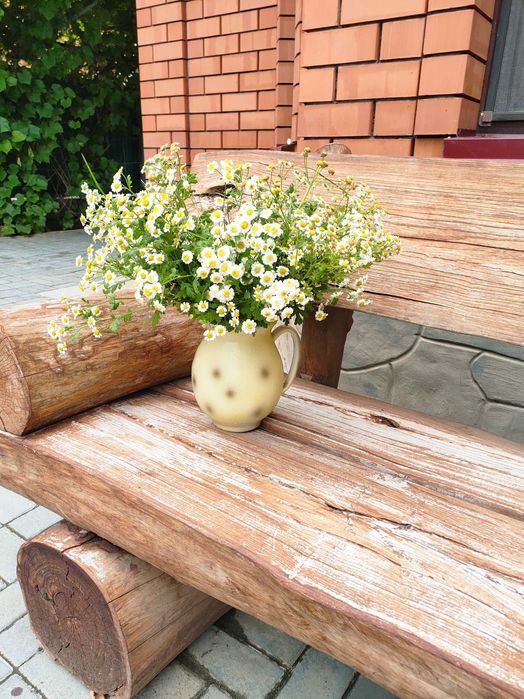 Ромашки. Букеты ромашек. Суперстойкие