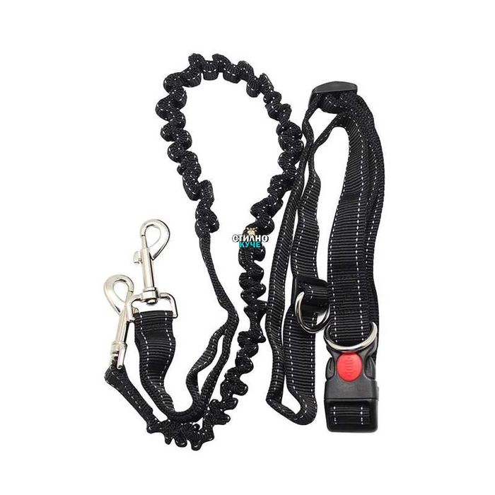 Джогинг колан за куче Колан за джокинг с повод Комплект за бягане