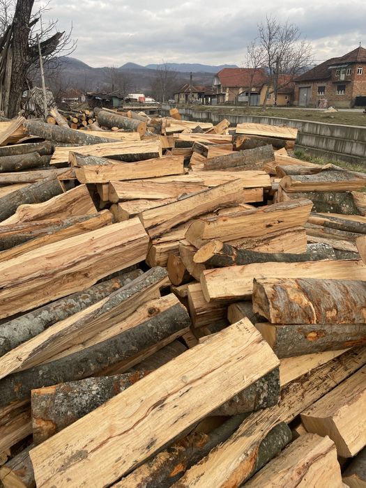 Lemne de foc de cea mai bună calitate