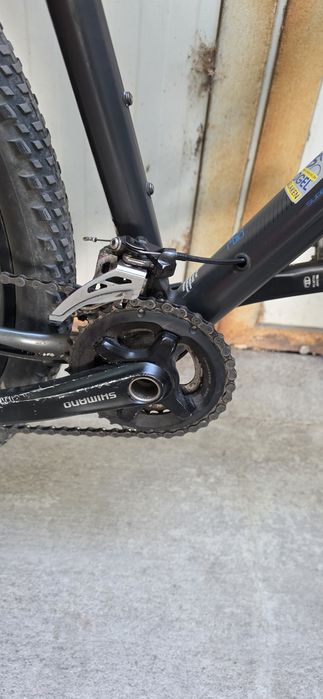 29" bulls compared 3
