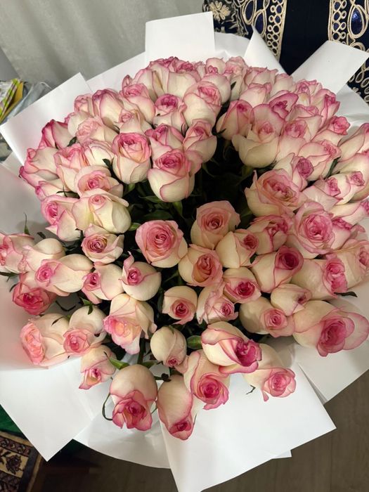 Свежие цветы розы