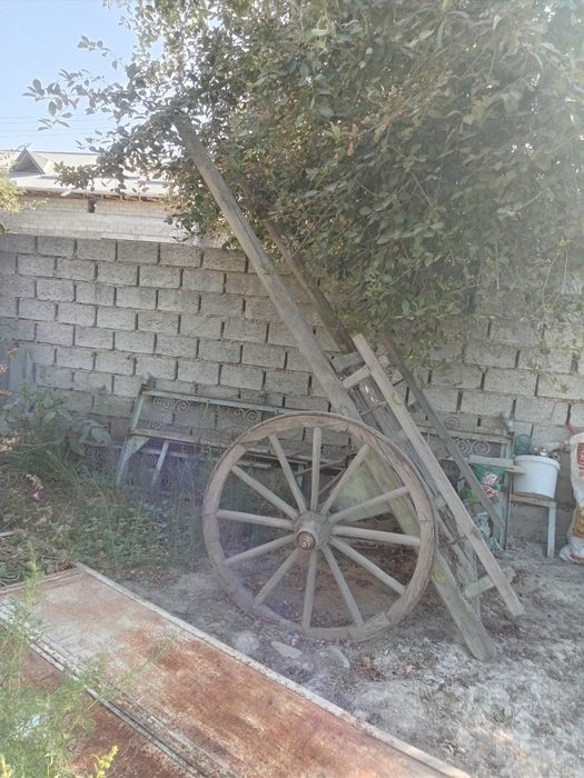 Ot arava sotiladi.