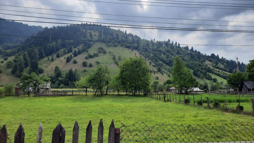 Teren  1015 mp ,sat  Savinesti, jud.Neamt,  Valea  Bistriței